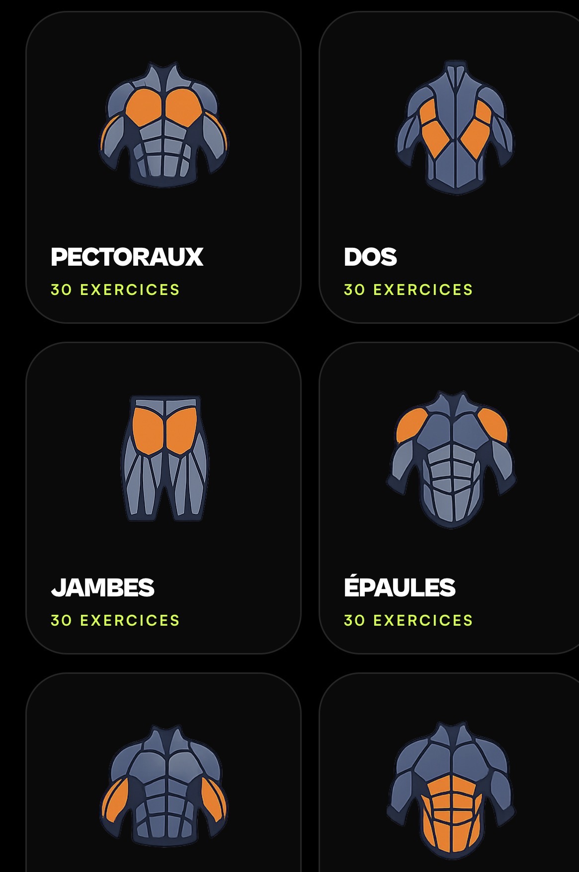 Groupes musculaires disponibles dans Kalos : pectoraux, dos, jambes, épaules
